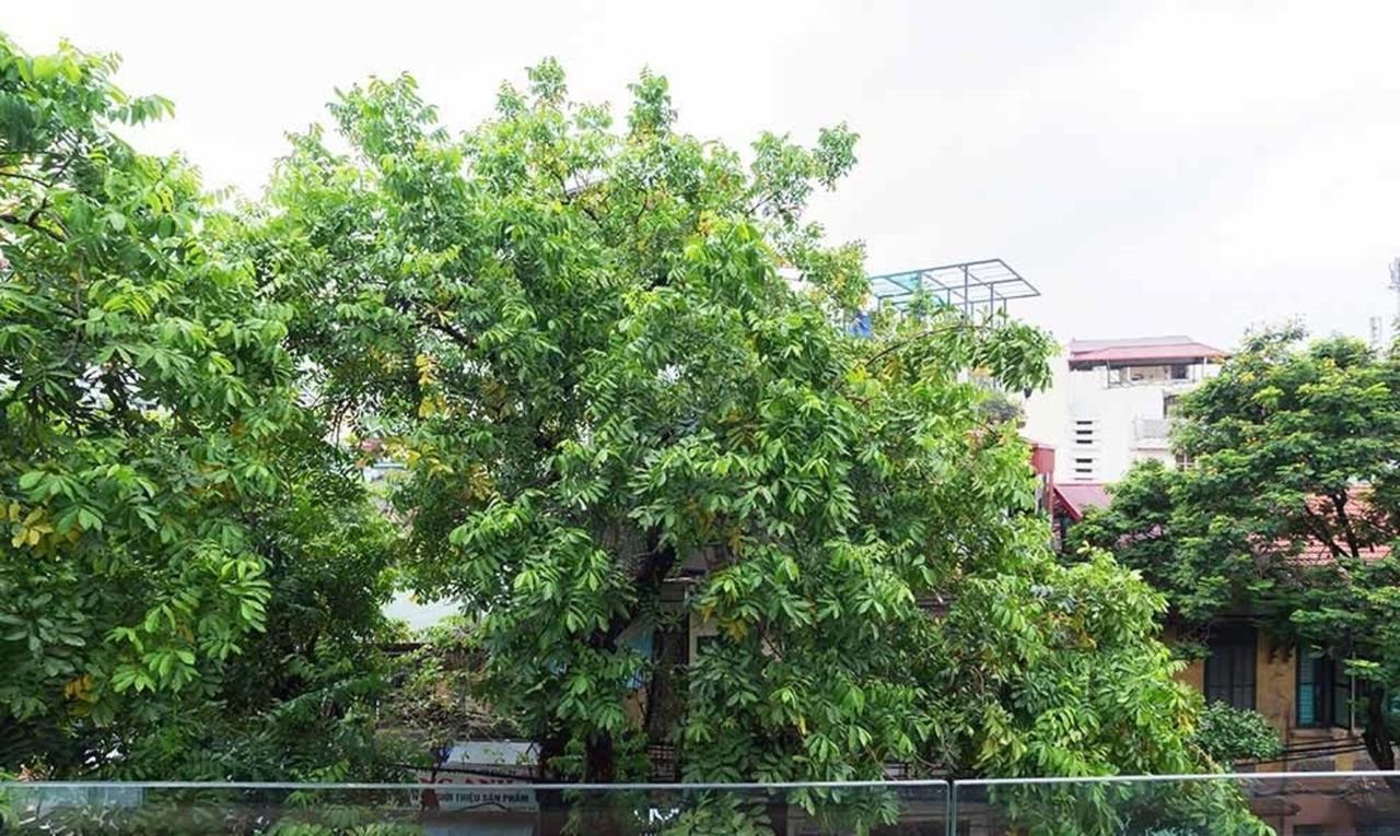 Ali House Apartment Hà Nội Ngoại thất bức ảnh
